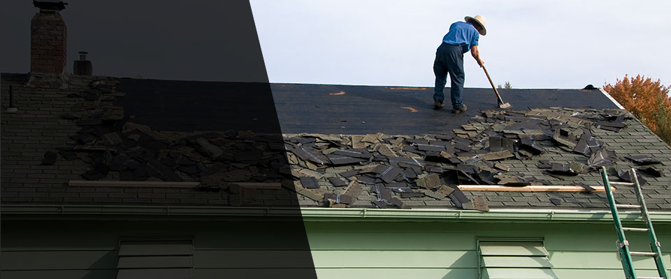Pandora Roofing Contractors